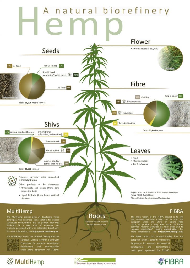 Sleepy Hemp from Dutch Harvest - Organic loose-leaf tea