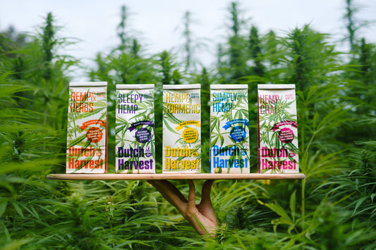 (5 pack bundle) Dutch Harvest - Hemp tea - Organic loose leaves