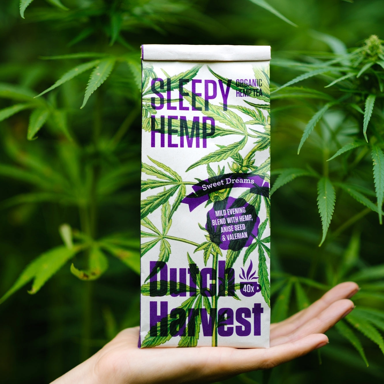 Sleepy Hemp from Dutch Harvest - Organic loose-leaf tea