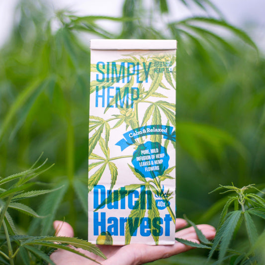 (5 pack) Dutch Harvest - Simply Hemp - Pure hemp tea - Organic